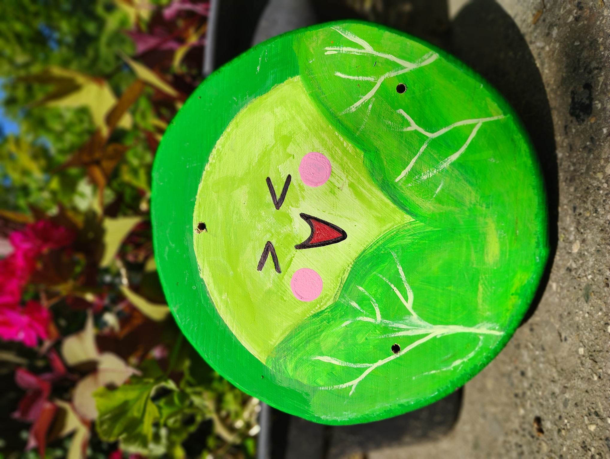 Cabbage Stool